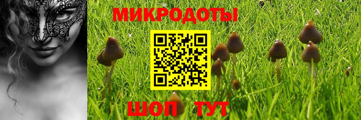 Галлюциногенные грибы прущие грибы Выборг